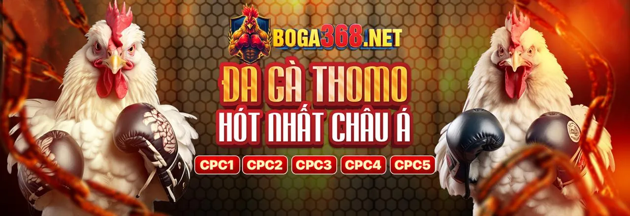 Đá Gà Trực Tuyến Hấp Dẫn tại 88clup xổ số